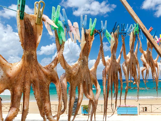 Greek Islands – drying octopi – 2 Greek Islands - drying octopi, Chania