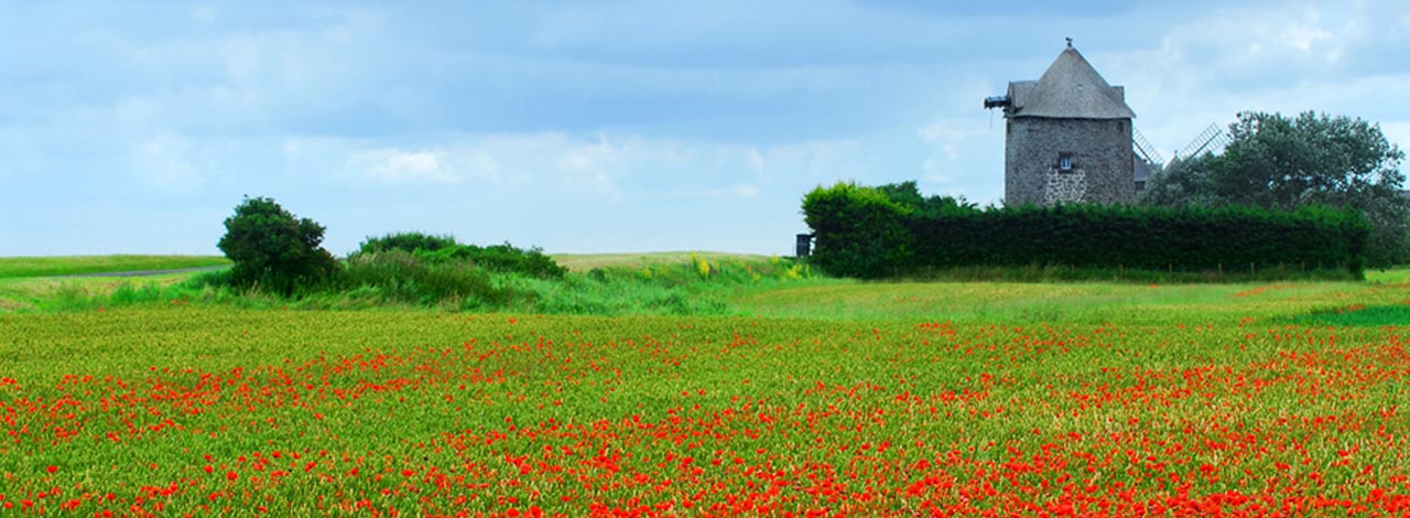 Normandy, France – Windmill and poppies Normandy, France - Windmill and poppies